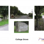 College Grove