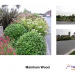 Mainham Wood
