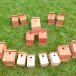A selection of the nest boxes donated to Clane Nest Box Scheme